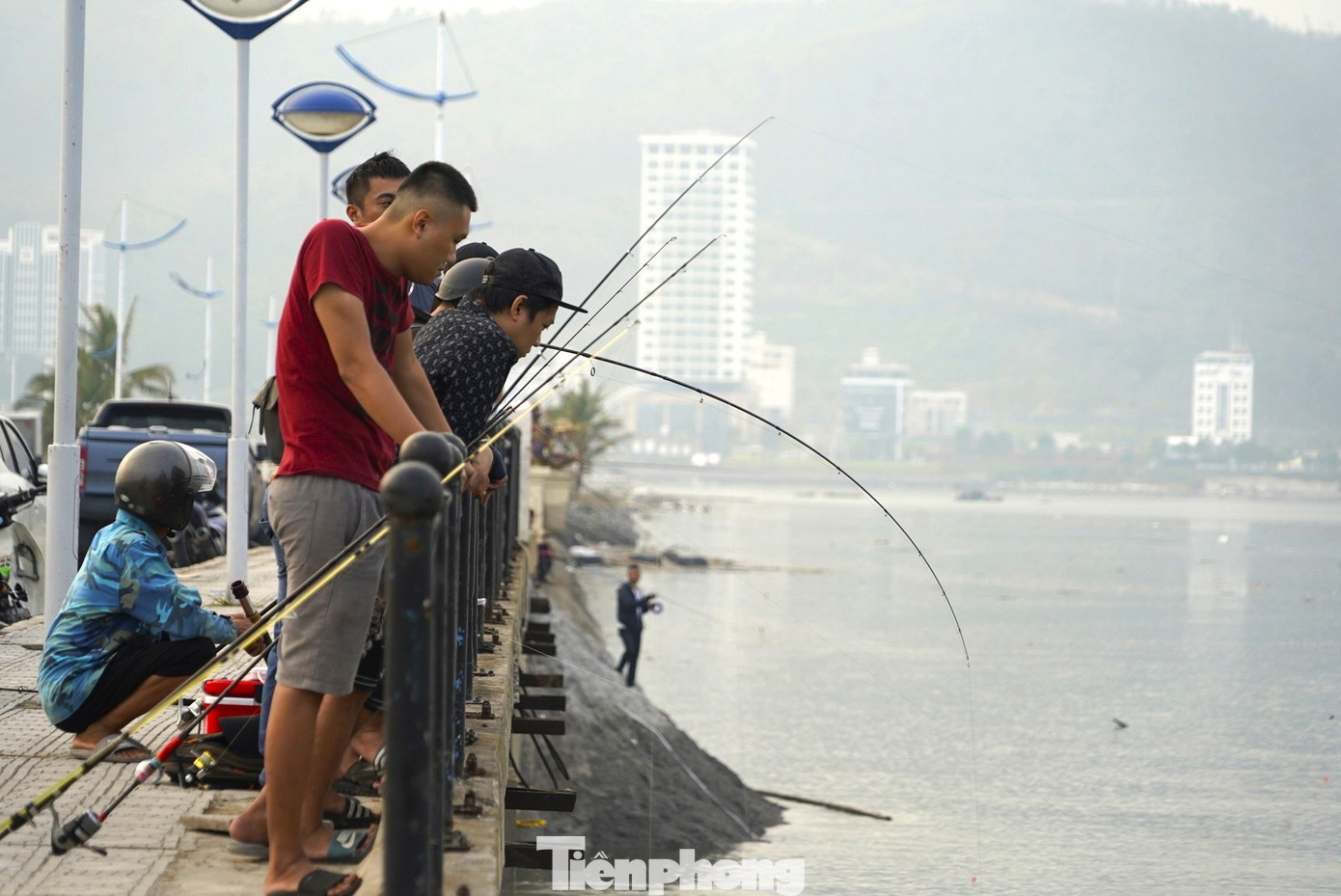 "Vì là cá nuôi nên khi bị sổng khỏi lồng sẽ rất khó kiếm được thức ăn ngoài tự nhiên. Hơn nữa mưa nhiều khiến nước biển nhạt đi làm cá bị sốc nước. Thời điểm này rất thích hợp để câu cá, chỉ cần chọn địa điểm thích hợp, quăng mồi ngồi đợi một lúc là cá cắn câu", anh Hoàng, một cần thủ khu vực biển Tuần Châu cho biết.