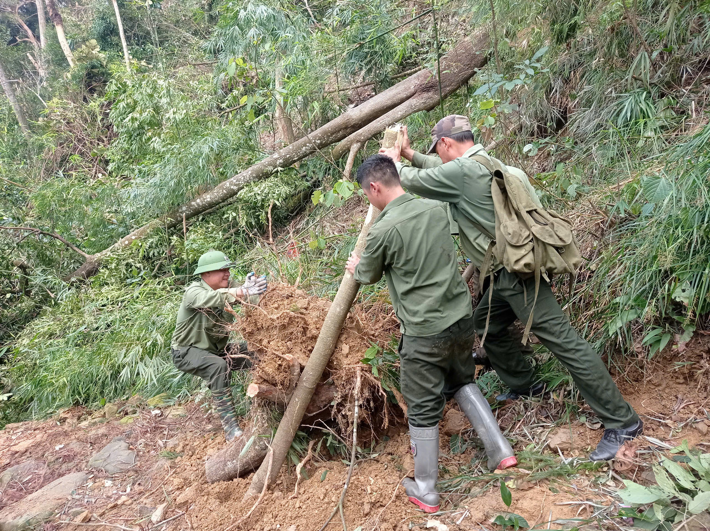 "Chắc chắn sẽ phải mất rất nhiều năm nữa Yên Tử mới có thể phục hồi được phong cảnh núi non hùng vĩ như trước đây. Cơn bão quá mạnh, thiệt hại quá lớn. Rất mong Yên Tử sớm phục hồi để du khách thập phương lại được chiêm ngưỡng màu xanh bạt ngàn của rừng thiêng", một du khách đến từ Hà Nội nói.