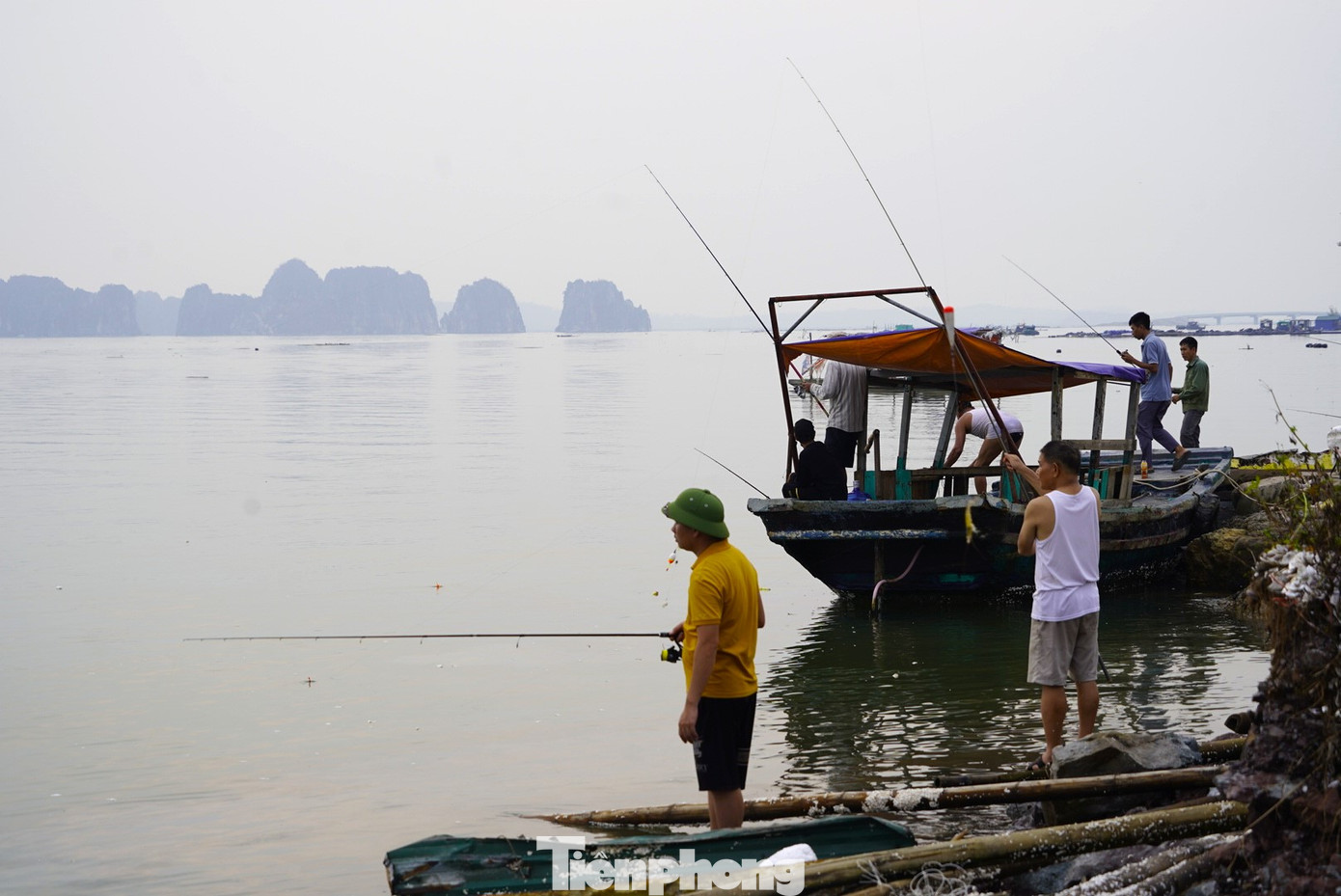 Ngày thường, giá cá song vào khoảng 250 nghìn đồng/1kg, nhưng các 'cần thủ' khi câu được cá chỉ bán lại cho ngư dân với giá trên dưới 100 nghìn đồng/1kg để hỗ trợ cho ngư dân tiếp tục nuôi lại để 'vớt vát' tí vốn sau thiệt hại do bão.