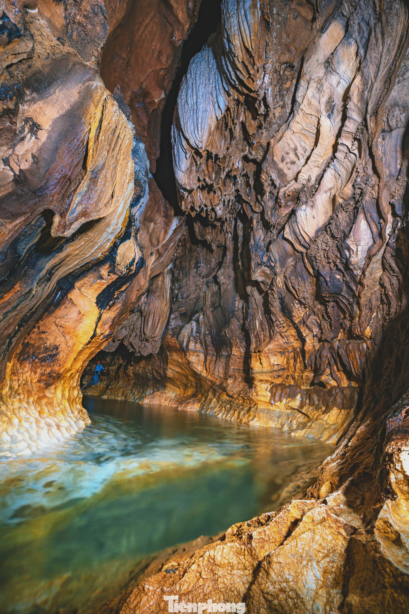 Đặc biệt, đây còn là nơi sinh sống của loài cá dầm xanh. Theo tiếng Tày, hang Bó Mì có nghĩa là hang nhiều cá dầm xanh. Có những con cá dầm xanh to khoảng 2 kg, hiện nay lượng cá vẫn sinh sôi và phát triển hàng đàn trong hang Bó Mì.