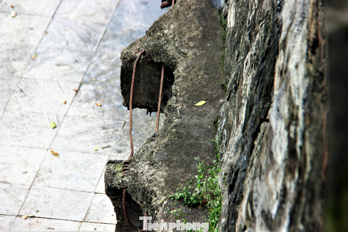 “Các hộ dân có trích đo địa chính nhưng chưa có sổ đỏ, sổ hồng và còn liên quan đến chứng tích nên không được phép xây dựng. Dân đã kiến nghị nhiều lần, UBND phường Hồng Gai cũng ghi nhận và gửi đến cấp cao hơn để giải quyết nhưng chưa có kết quả", Ông Nguyễn Duy Dương, Trưởng khu 9 phường Hồng Gai, ,TP hạ Long thông tin.