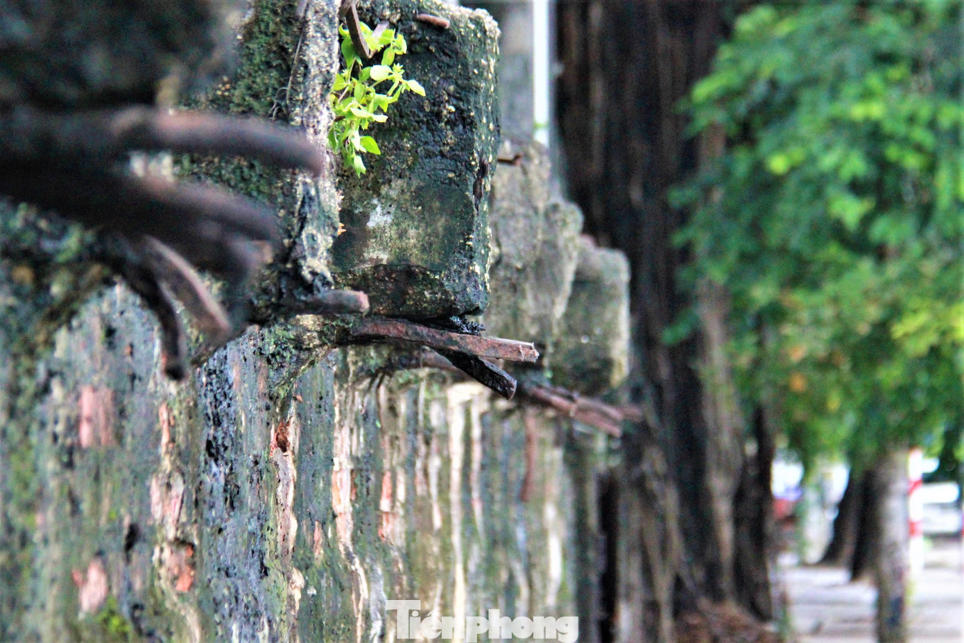 Hiện nay vẫn còn nguyên các phòng giam bằng bê tông, cổng sắt, xung quanh bao bọc bằng tường đá. Tuy nhiên, nhà tù đã xuống cấp trầm trọng, cửa sắt tại lối vào hư hỏng, đứng ở ngoài có thể nhìn rõ bên trong, hệ thống sắt tại trần nhà tù hoen gỉ.