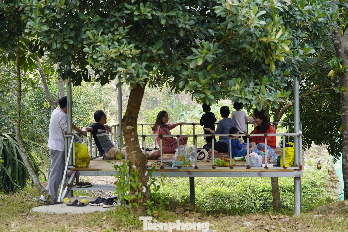 Giữa không gian bạt ngàn cam chín, du khách có thể thoải mái sống ảo với những kiểu ảnh đầy ngẫu hứng. Giữa không gian bạt ngàn cam chín, du khách có thể thoải mái sống ảo với những kiểu ảnh đầy ngẫu hứng.