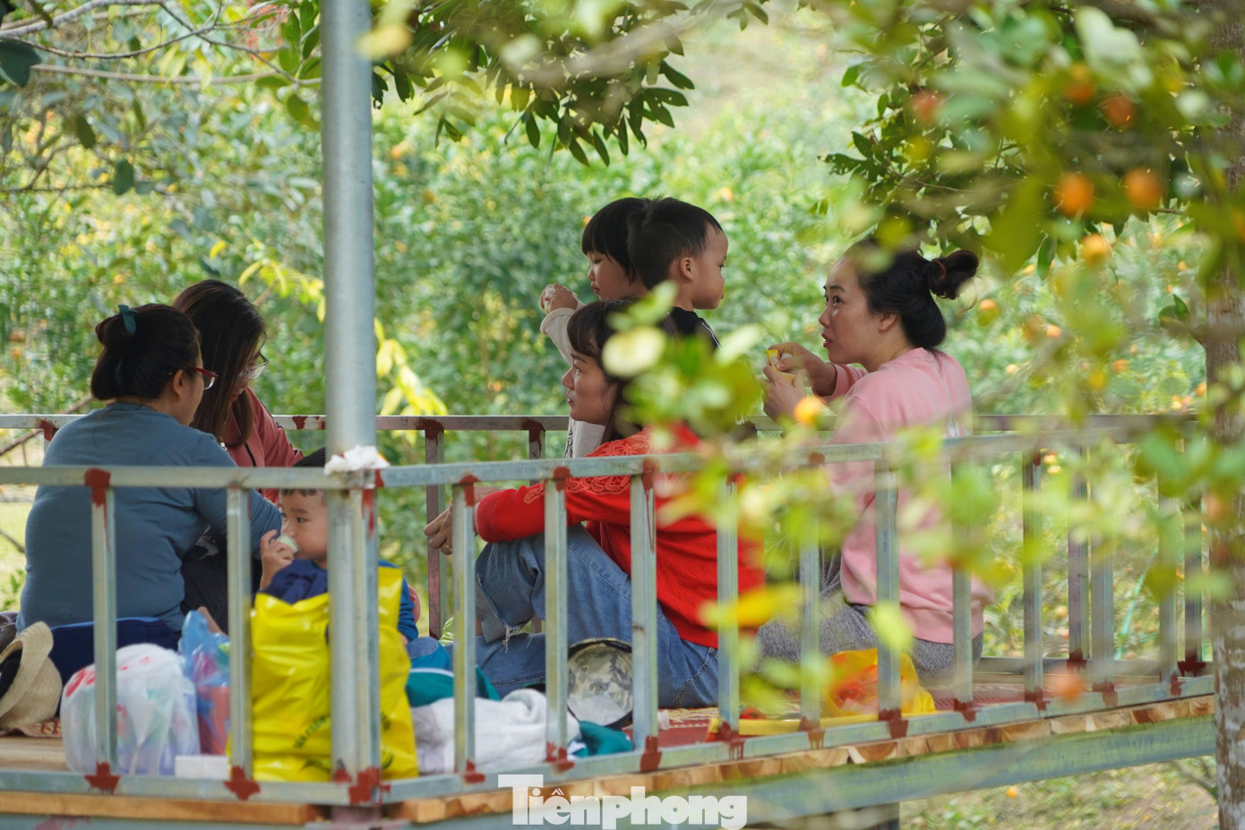 Nếu thấm mệt, bạn có thể trải chiếu nghỉ dưới bóng mát cây cam cổ thụ và thưởng thức những món ăn dân dã của địa phương. Gần 1 tháng nay, vào mỗi dịp cuối tuần, không chỉ mỗi gia đình anh Hậu mà nhiều gia đình khác ở xã Vạn Yên liên tục đón hàng nghìn lượt khách đến trải nghiệm vườn cam. Nếu thấm mệt, bạn có thể trải chiếu nghỉ dưới bóng mát cây cam cổ thụ và thưởng thức những món ăn dân dã của địa phương. Gần 1 tháng nay, vào mỗi dịp cuối tuần, không chỉ mỗi gia đình anh Hậu mà nhiều gia đình khác ở xã Vạn Yên liên tục đón hàng nghìn lượt khách đến trải nghiệm vườn cam.