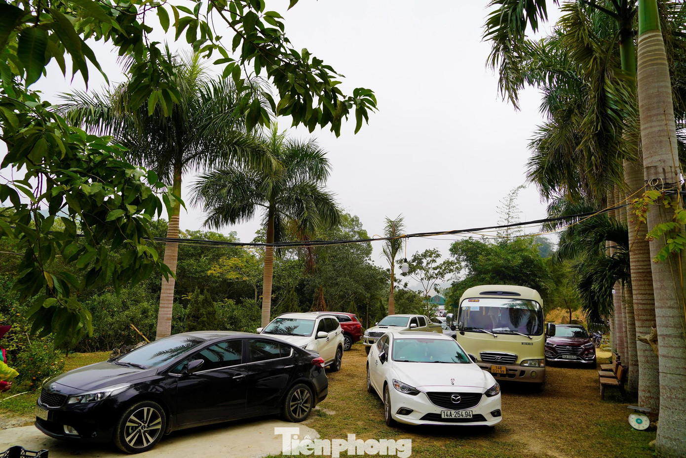 Vườn cam của hộ gia đình anh Trần Văn Hậu ngay đầu thôn Cái Bầu mỗi ngày đón hàng trăm lượt khách. Đây được đánh giá là vườn cam có không gian rộng rãi, thoáng mát và có cảnh quan đẹp nhất vùng. Vườn cam của hộ gia đình anh Trần Văn Hậu ngay đầu thôn Cái Bầu mỗi ngày đón hàng trăm lượt khách. Đây được đánh giá là vườn cam có không gian rộng rãi, thoáng mát và có cảnh quan đẹp nhất vùng.