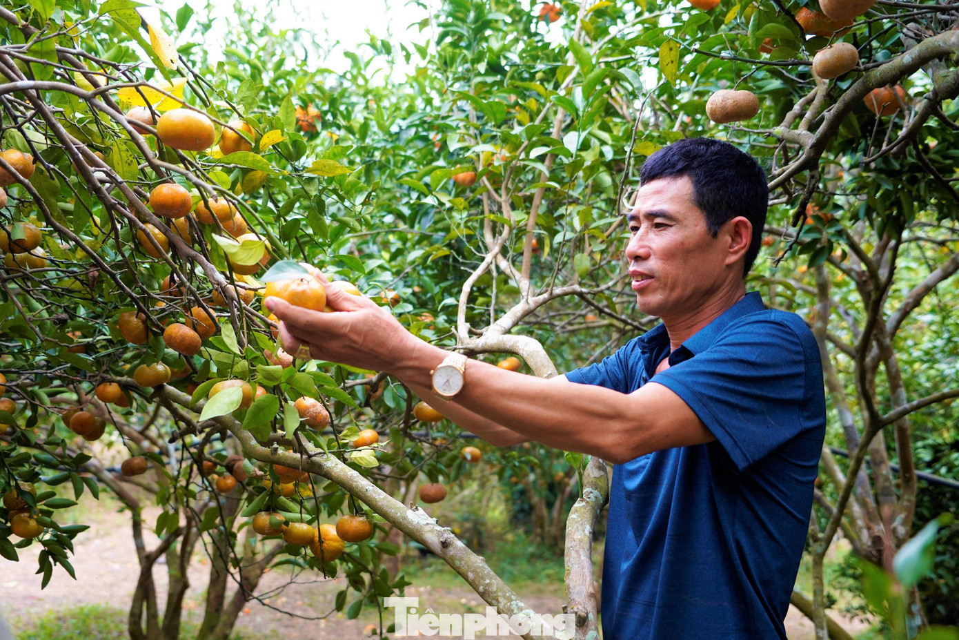 Mô hình làm vườn kết hợp du lịch sinh thái phát huy hiệu quả đang tạo nguồn thu nhập ổn định cho nhiều hộ dân ở Vạn Yên, được huyện Vân Đồn chú trọng phát triển. Mô hình làm vườn kết hợp du lịch sinh thái phát huy hiệu quả đang tạo nguồn thu nhập ổn định cho nhiều hộ dân ở Vạn Yên, được huyện Vân Đồn chú trọng phát triển.