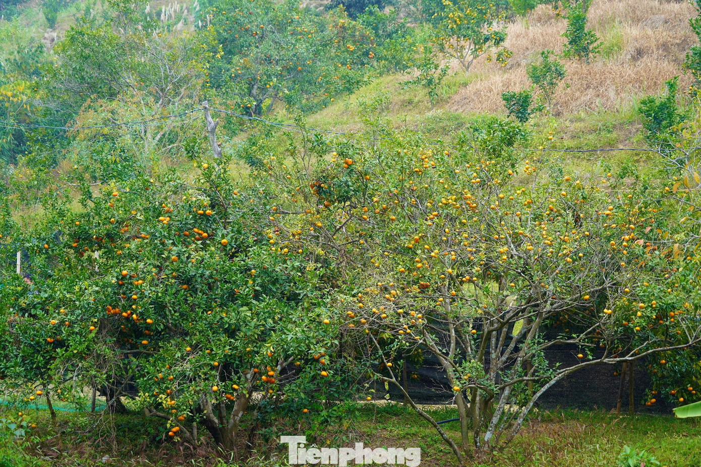 Cách TP. Hạ Long chừng 70km, xã Vạn Yên, huyện Vân Đồn đang là địa điểm thu hút khách dịp cuối tuần ở Quảng Ninh. Cách TP. Hạ Long chừng 70km, xã Vạn Yên, huyện Vân Đồn đang là địa điểm thu hút khách dịp cuối tuần ở Quảng Ninh.