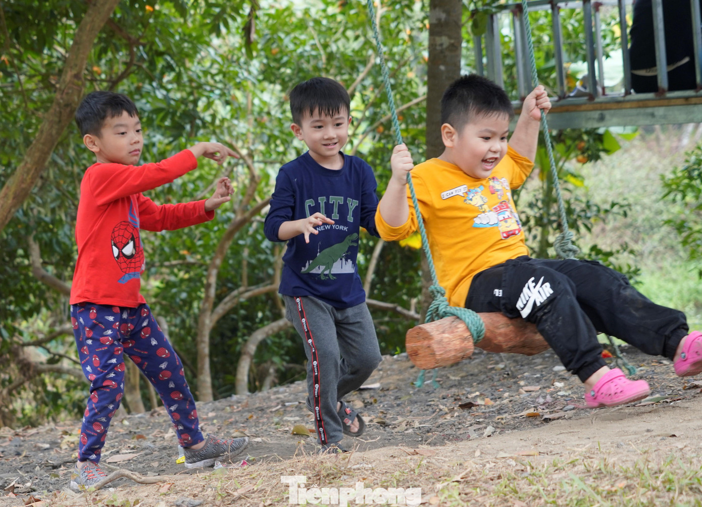 Trẻ em được vui chơi thỏa thích khi đến với các vườn cam ở Vân Đồn. Trẻ em được vui chơi thỏa thích khi đến với các vườn cam ở Vân Đồn.