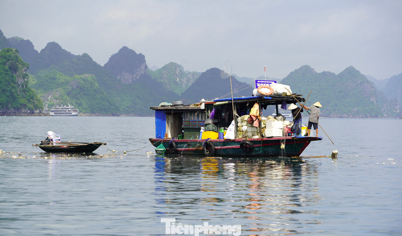 Ban Quản lý vịnh Hạ Long đã bỏ ra số tiền khoảng 10 tỷ đồng/năm cho việc thu gom rác.