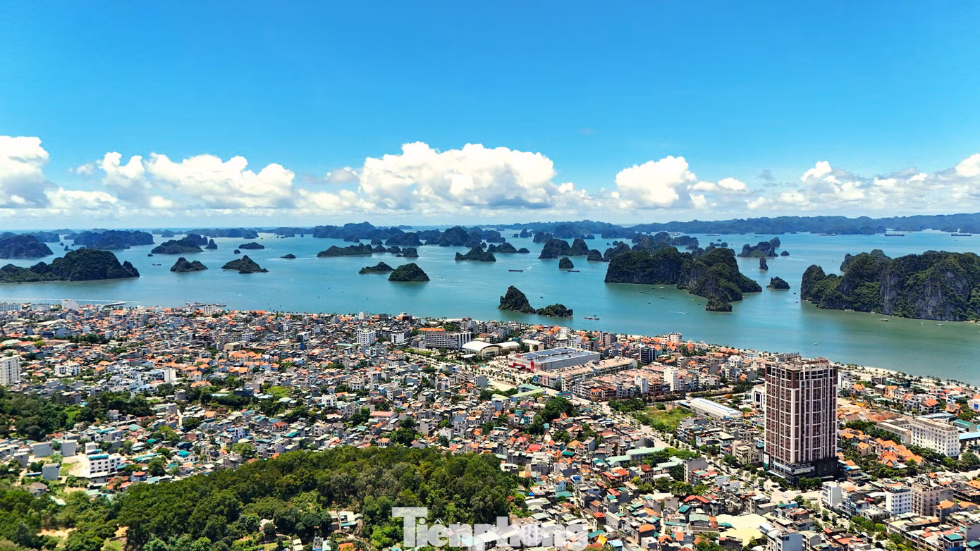 Phường Hạ Long, Quảng Ninh.