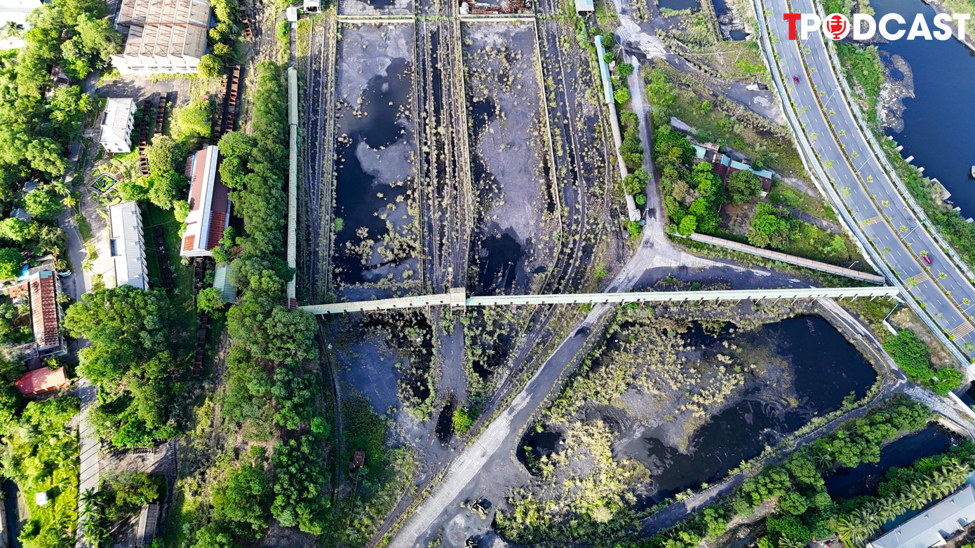 Vì đây là khu đất 'vàng' nằm bên bờ vịnh di sản nên trước khi Nhà máy sàng tuyển than bị di dời đi nơi khác, đã có khá nhiều nhà đầu tư bất động sản quan tâm. Vì đây là khu đất 'vàng' nằm bên bờ vịnh di sản nên trước khi Nhà máy sàng tuyển than bị di dời đi nơi khác, đã có khá nhiều nhà đầu tư bất động sản quan tâm.