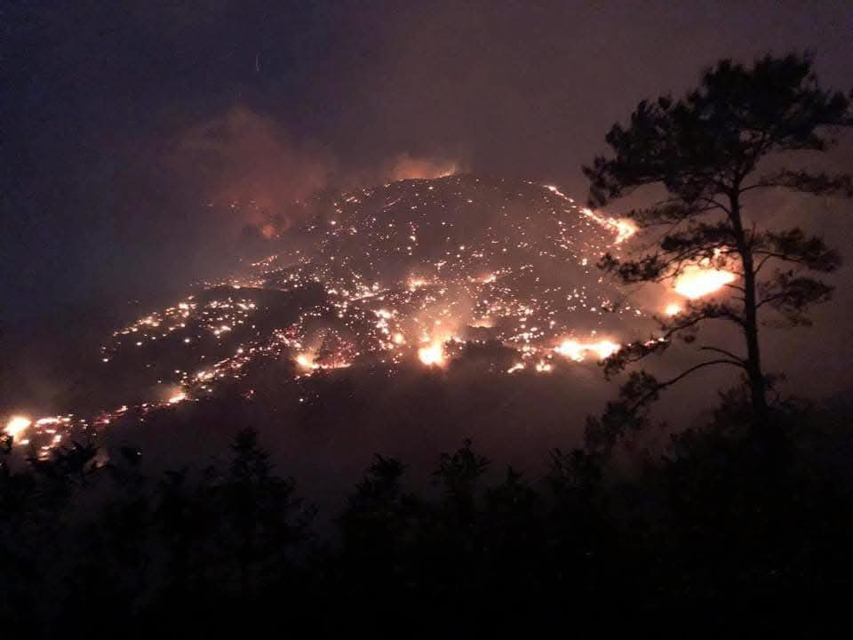 Cháy rừng khu vực Khe Mu, huyện Bình Liêu.