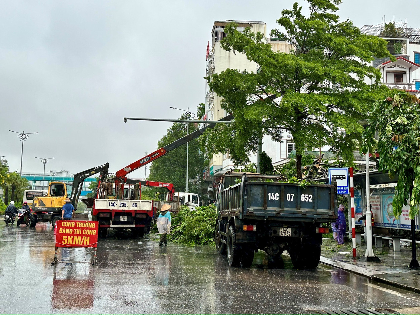 Bão số 2 đổ bộ Quảng Ninh: Hàng loạt cây xanh bị quật đổ, nhà dân sạt lở, ngập lụt ảnh 2 Bão số 2 đổ bộ Quảng Ninh: Hàng loạt cây xanh bị quật đổ, nhà dân sạt lở, ngập lụt ảnh 2