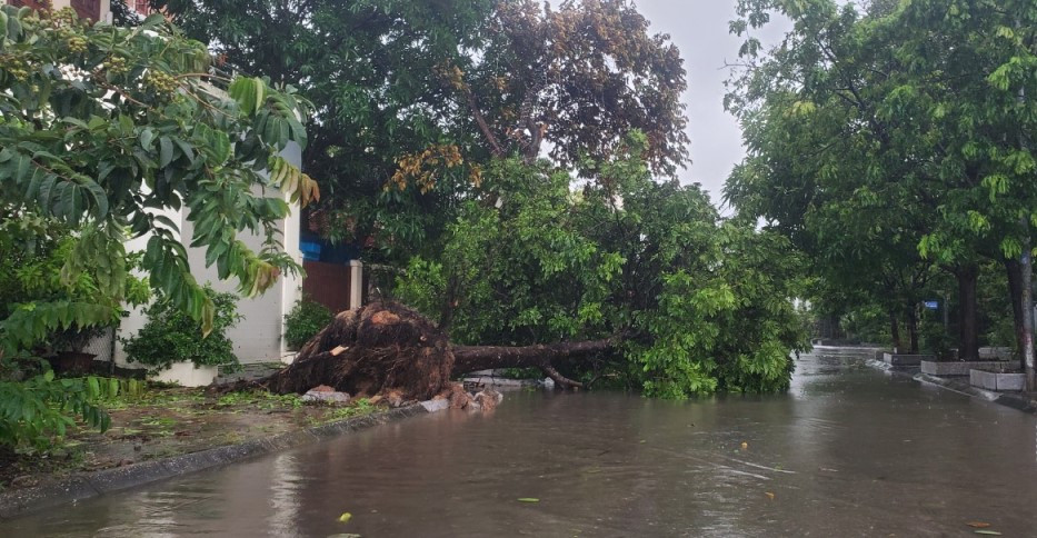 Tại một số tuyến đường khu vực các phường: Yết Kiêu, Trần Hưng Đạo, Cao Thắng, Cao Xanh, Hồng Hải… xảy ra tình trạng ngập úng cục bộ; cây xanh, bảng biển quảng cáo, cột điện đổ gây ảnh hưởng đến các phương tiện đi lại. Tại một số tuyến đường khu vực các phường: Yết Kiêu, Trần Hưng Đạo, Cao Thắng, Cao Xanh, Hồng Hải… xảy ra tình trạng ngập úng cục bộ; cây xanh, bảng biển quảng cáo, cột điện đổ gây ảnh hưởng đến các phương tiện đi lại.