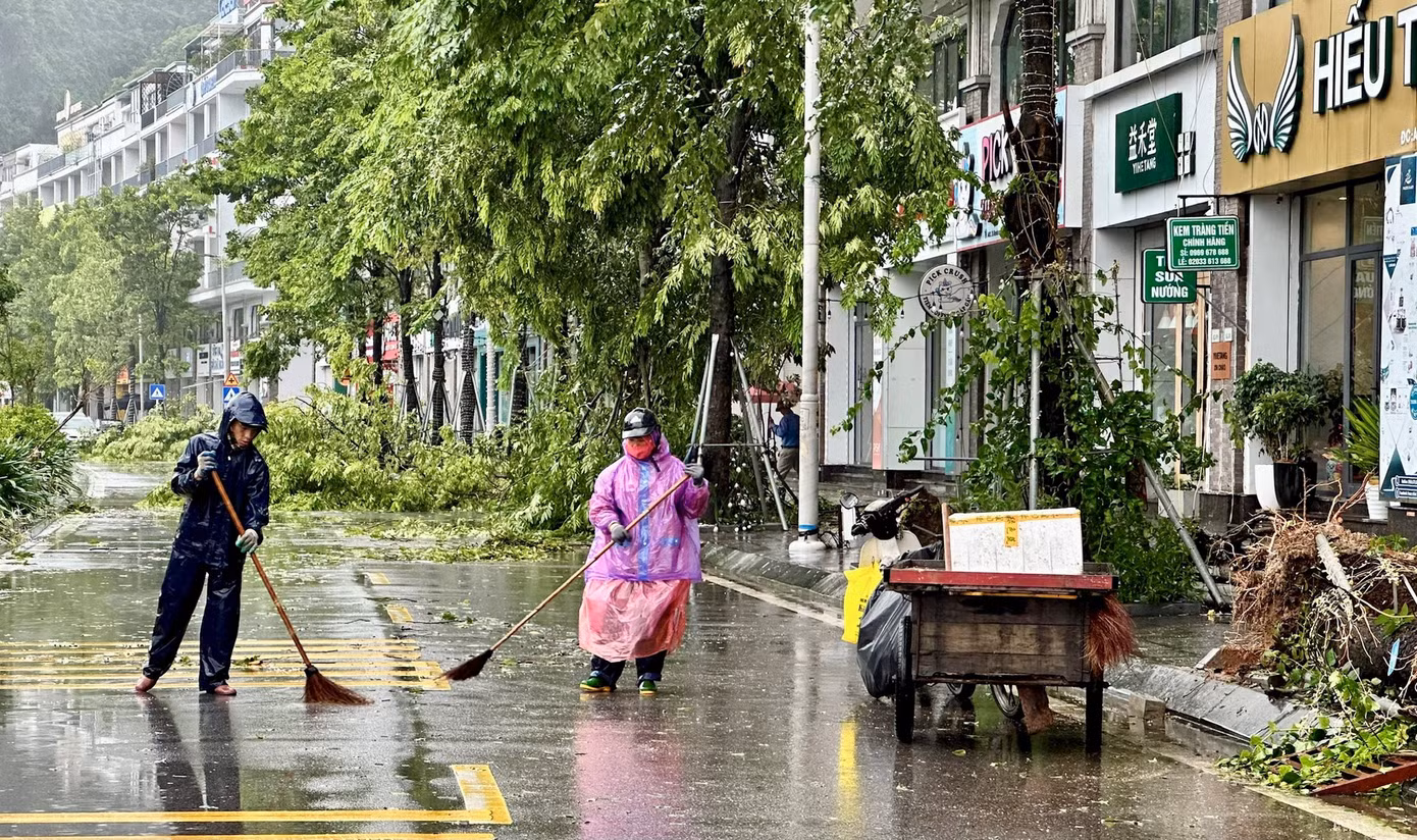 Bão số 2 đổ bộ Quảng Ninh: Hàng loạt cây xanh bị quật đổ, nhà dân sạt lở, ngập lụt ảnh 1