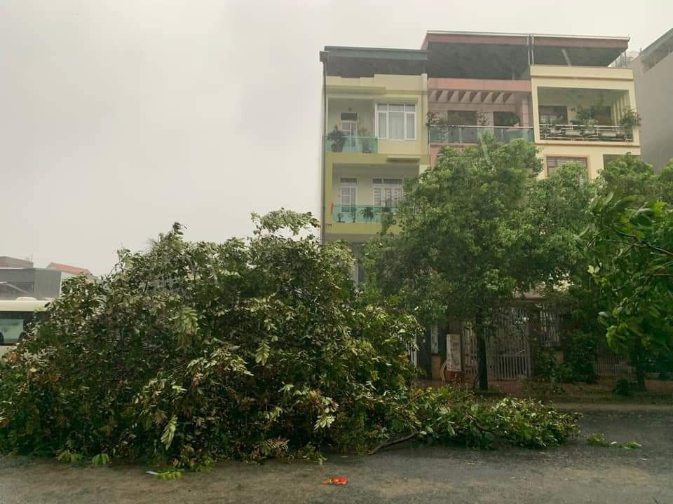 Đến rạng sáng 23/7, địa bàn TP Hạ Long tiếp tục có mưa lớn, lượng mưa từ 100 mm – 150mm. Ngoài ra, do ảnh hưởng của hoàn lưu bão, trên địa bàn có gió mạnh nhất cấp 8-9, giật cấp 11. Đến rạng sáng 23/7, địa bàn TP Hạ Long tiếp tục có mưa lớn, lượng mưa từ 100 mm – 150mm. Ngoài ra, do ảnh hưởng của hoàn lưu bão, trên địa bàn có gió mạnh nhất cấp 8-9, giật cấp 11.