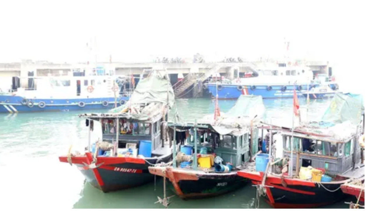 Các phương tiện bị bắt giữ vì khai thác thủy sản bằng ngư cụ cấm trong vùng lõi vịnh Hạ Long.