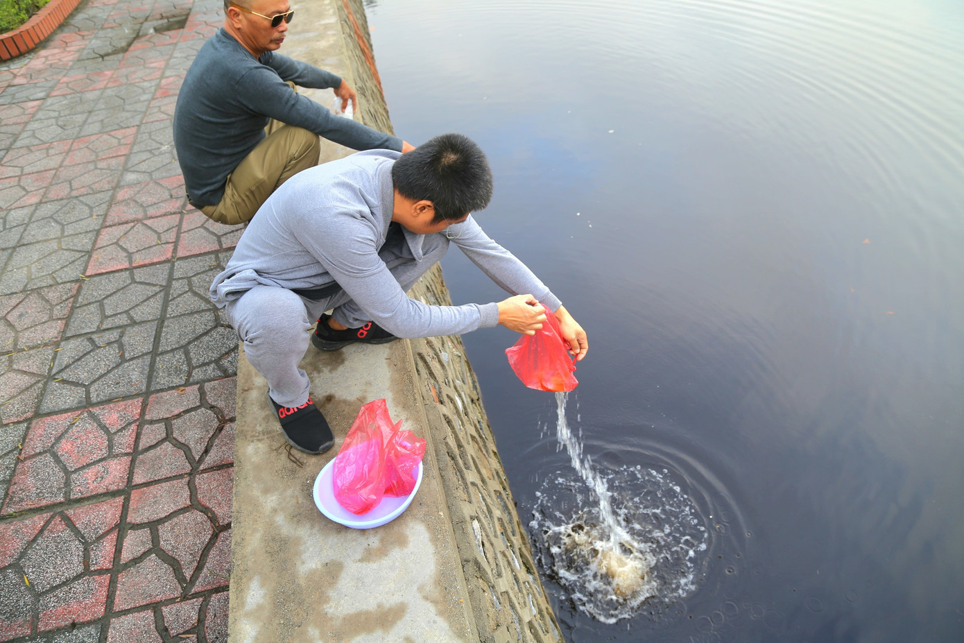 Những người này cho biết họ thả cá xuống đây cho "tiện".