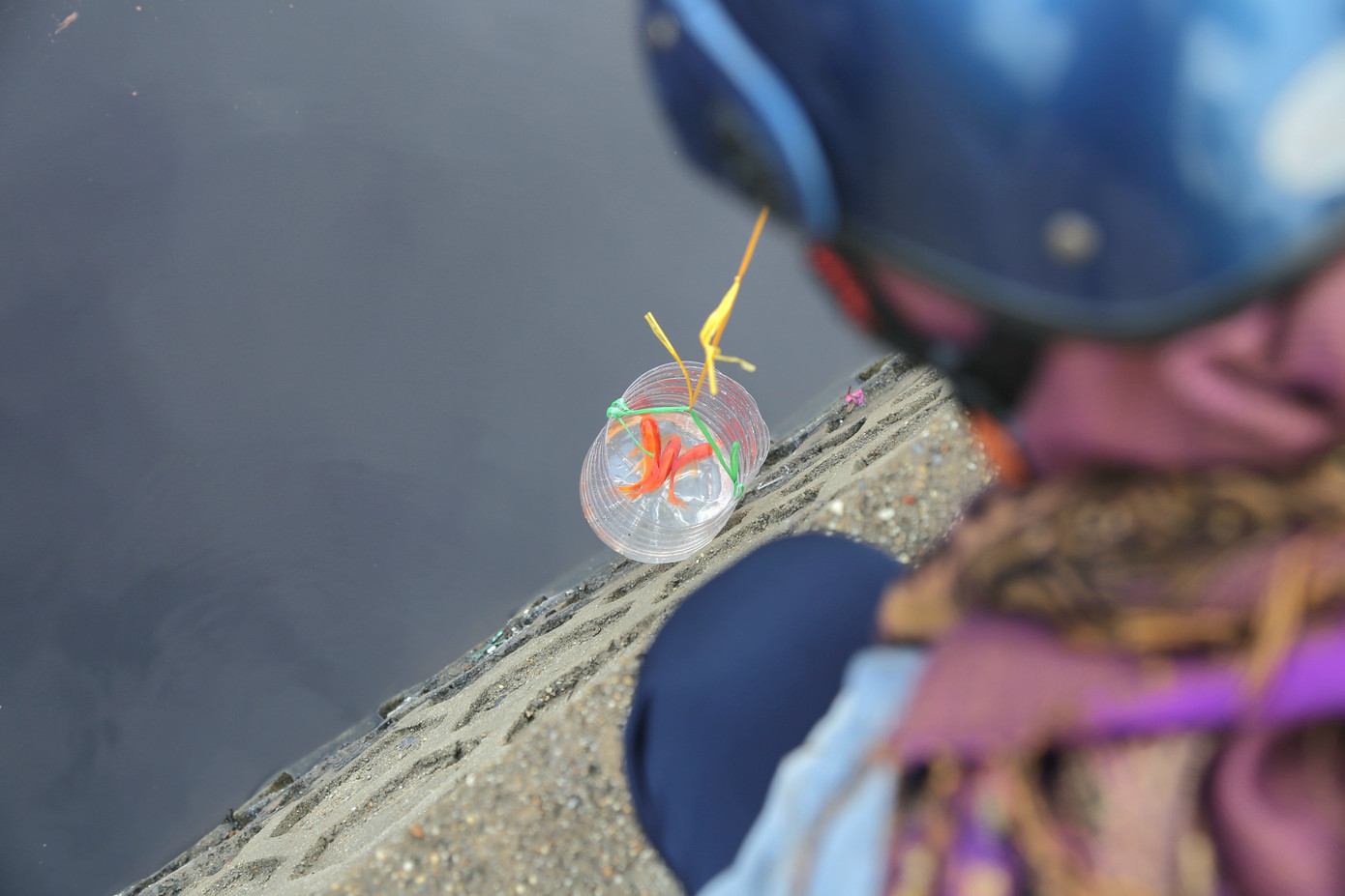 Một số người còn cẩn thận làm dây để thả cá xuống.