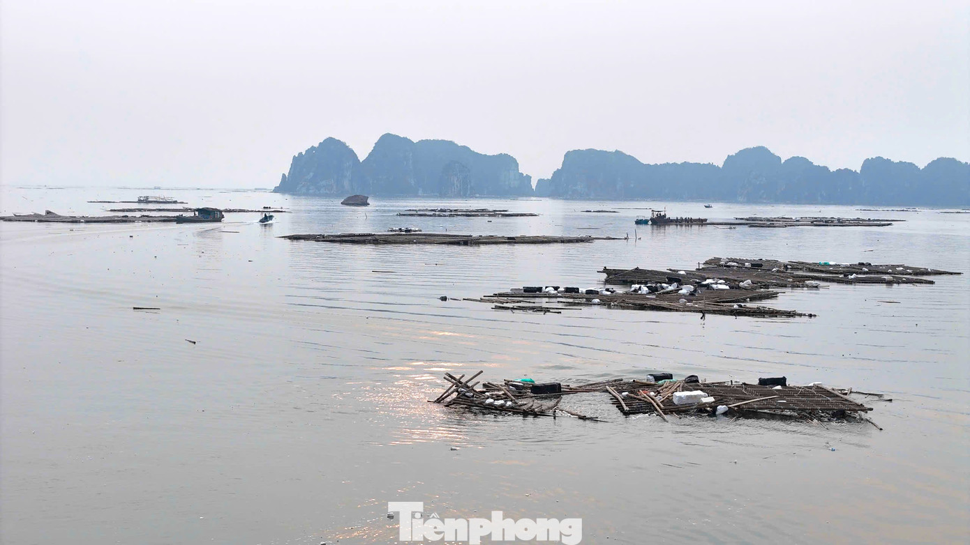 Cơn bão YAGI đã đi qua nhưng để lại hậu quả vô cùng nặng nề cho nghề nuôi biển ở Quảng Ninh.