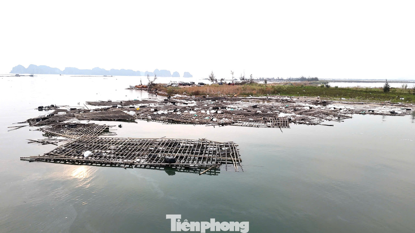 Thiệt hại của người nuôi biển là quá lớn nhưng những bè mảng đầy rác này sẽ gây thiệt hại vô cùng lớn cho vịnh Hạ Long nếu không có phương án xử lý kịp thời.