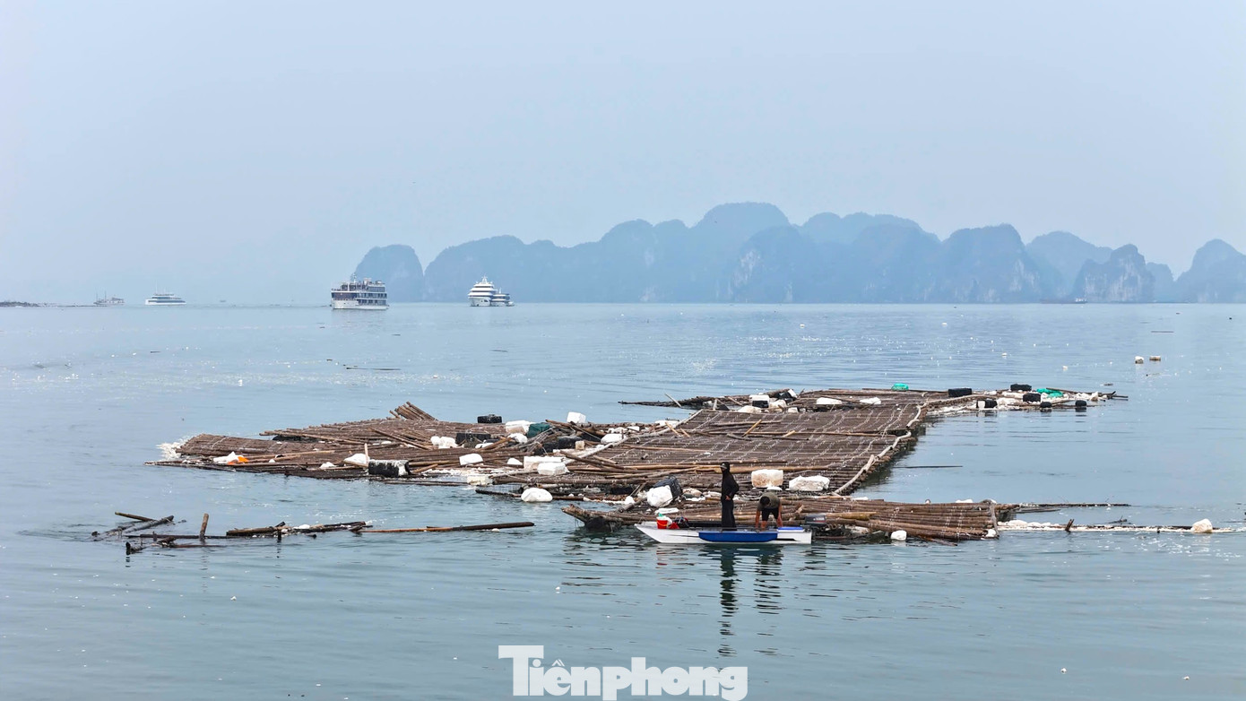 Những "núi" rác khổng lồ này đang theo con nước tiến dần ra khu vực vùng lõi di sản vịnh Hạ Long.