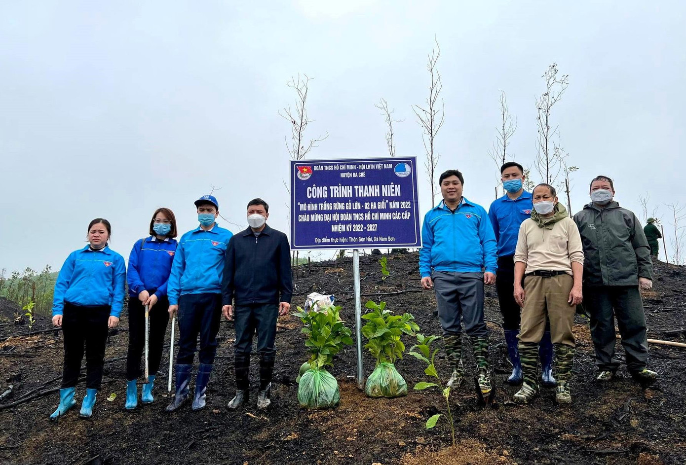 Mô hình trồng cây gỗ lớn ở huyện Ba Chẽ.