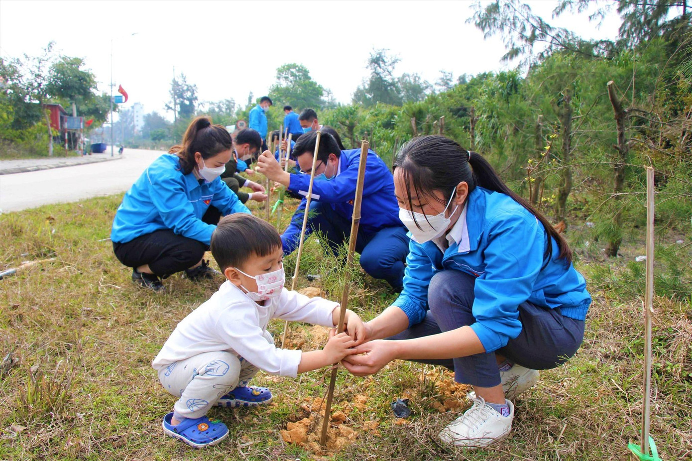 Hàng cây biên giới