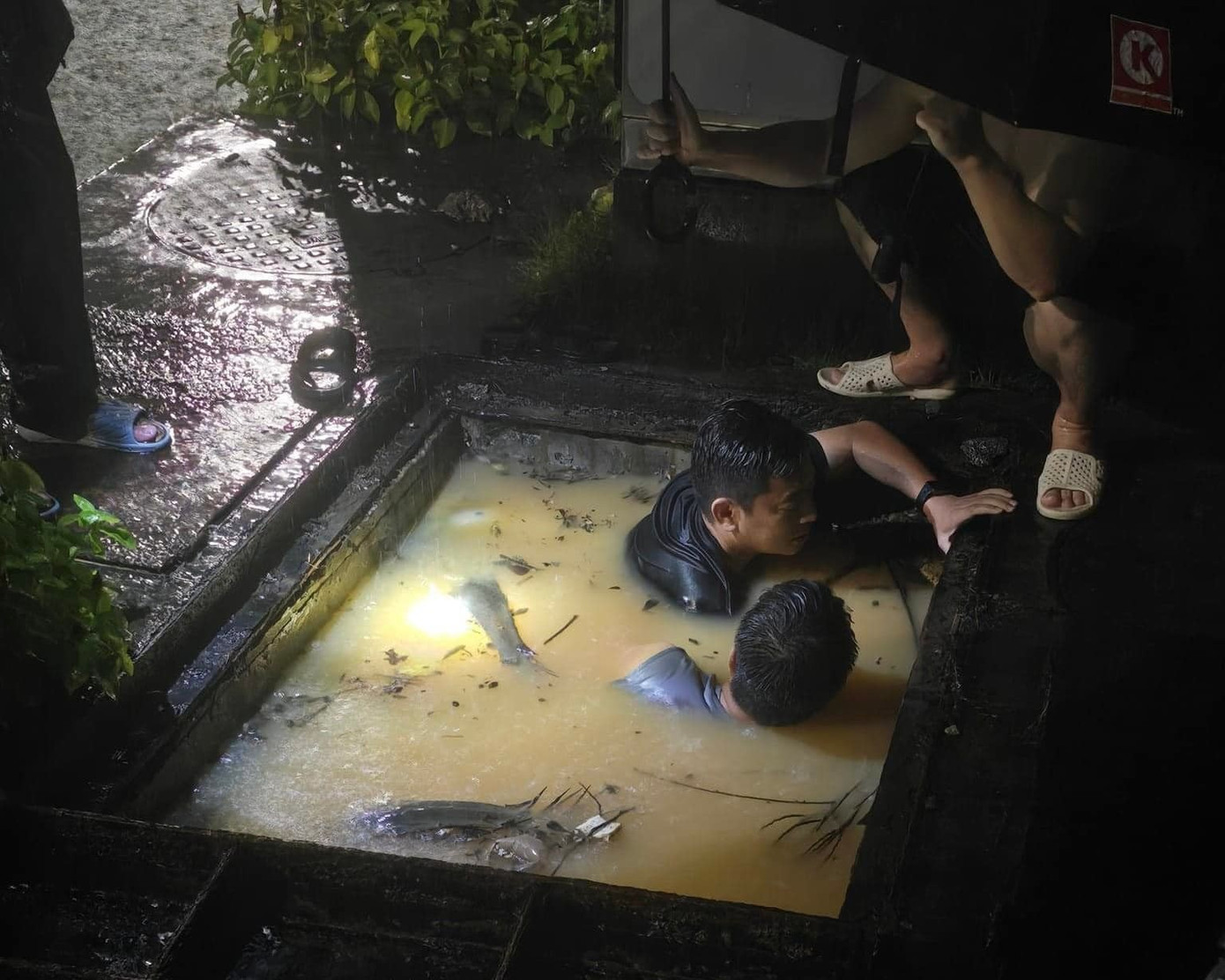 Mưa lớn khiến đất đá, rác, lá cây đổ dồn xuống các họng cống, một số khu vực bị ngập cục bộ. Mưa lớn khiến đất đá, rác, lá cây đổ dồn xuống các họng cống, một số khu vực bị ngập cục bộ.