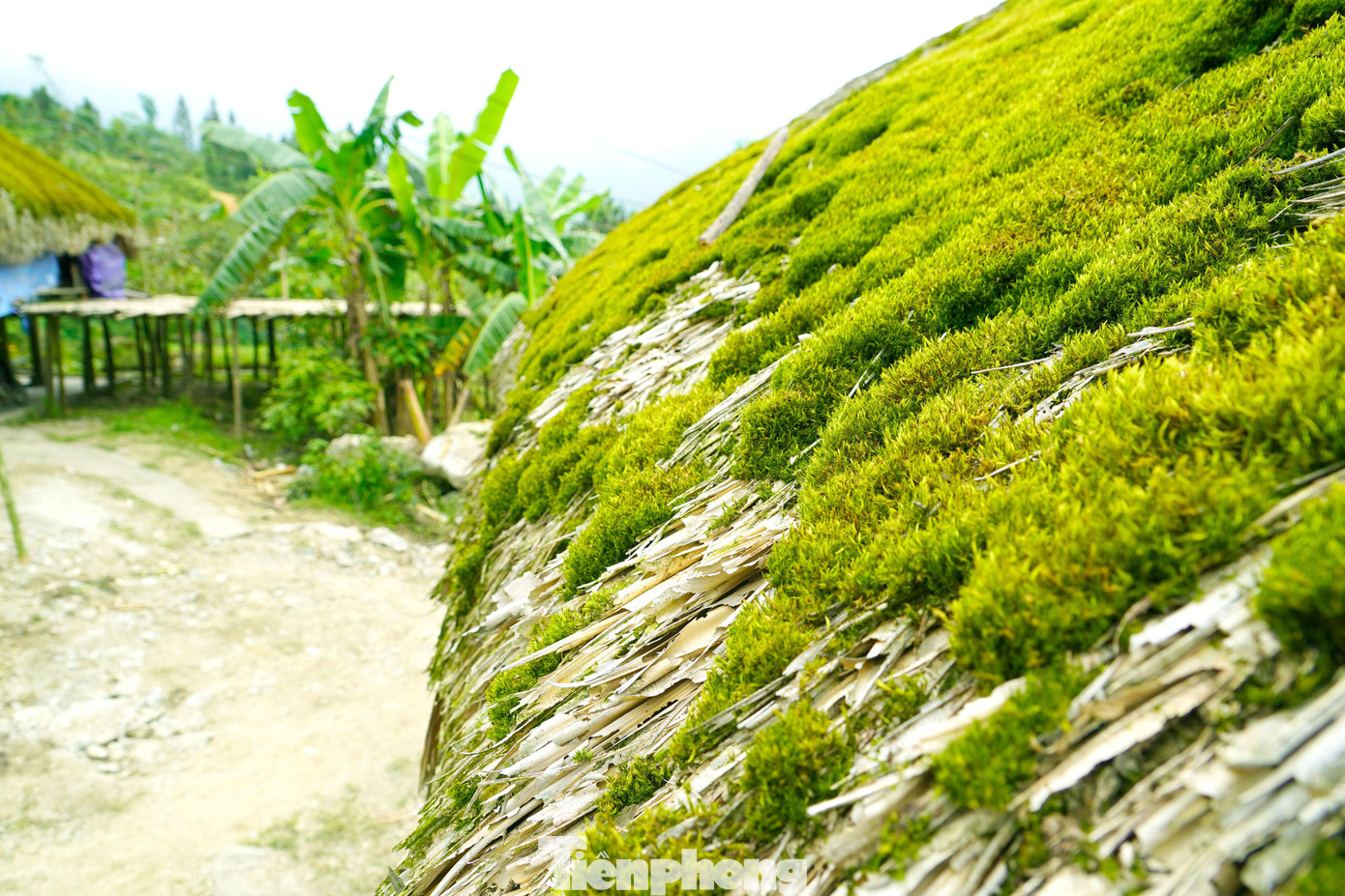 Ở độ cao trên 1.000m so với mực nước biển, Xà Phìn có khí hậu mát mẻ.