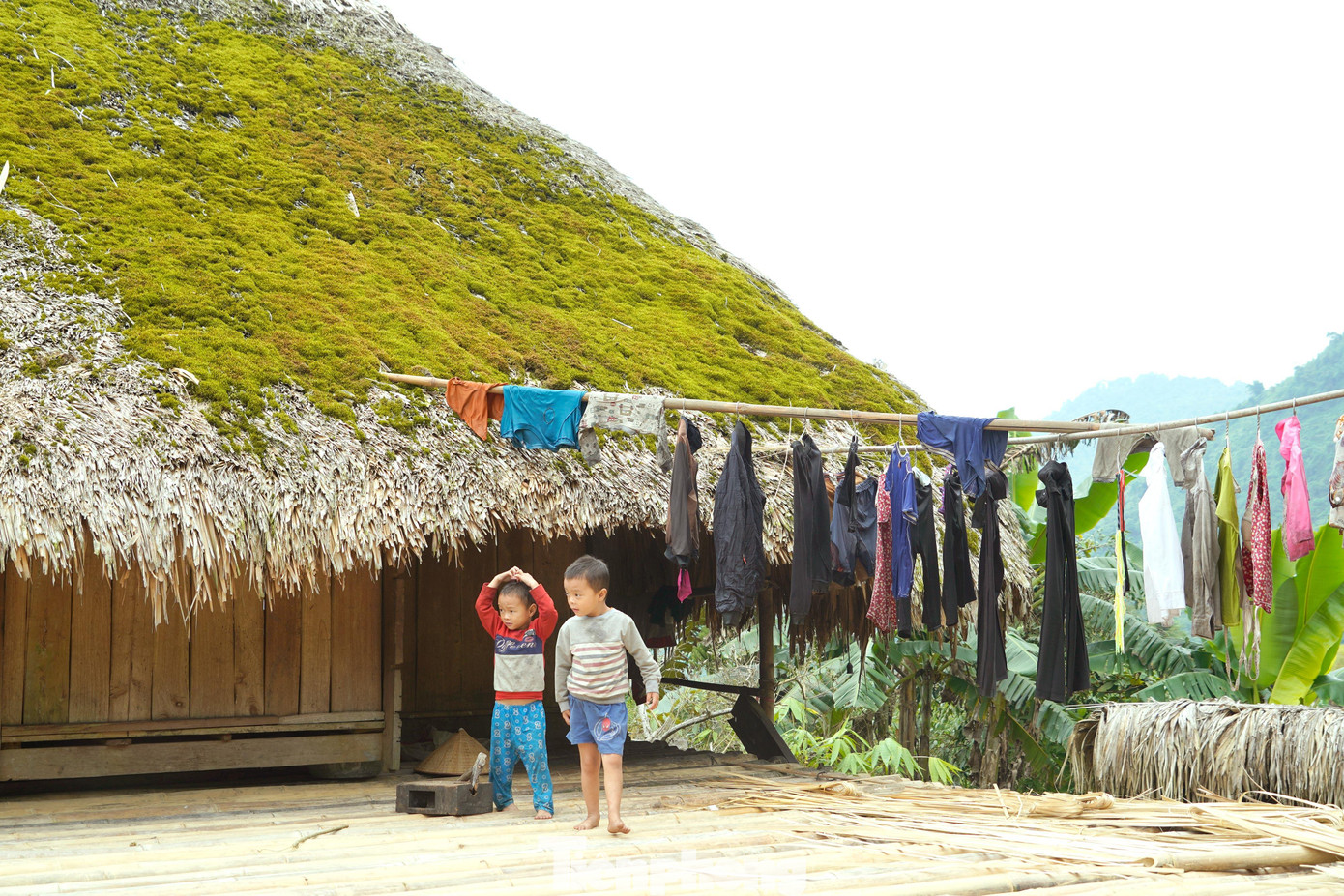 5 năm là quãng thời gian để lớp mái lá cọ ngấm đủ độ ẩm và mềm mục đi, khiến cho nấm mốc nảy nở.