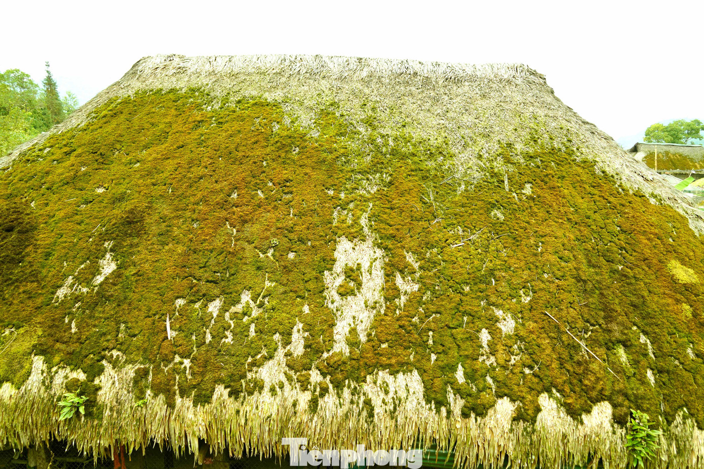 Sau mấy chục năm, đa phần người dân nơi đây vẫn giữ nguyên nếp nhà lá cọ với nếp sống cũ.