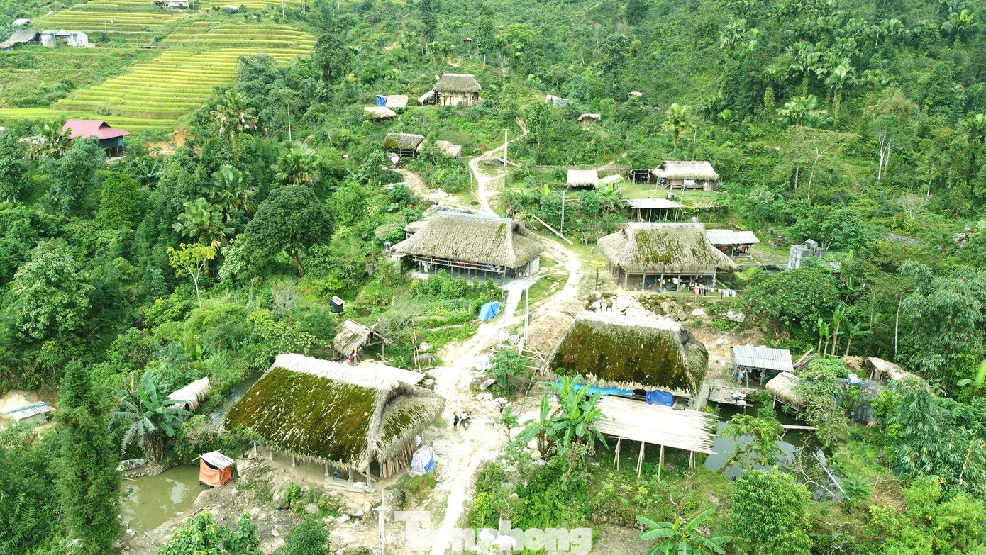 Trong số hơn 50 nóc nhà thì trên 40 ngôi nhà lợp bằng lá cọ.