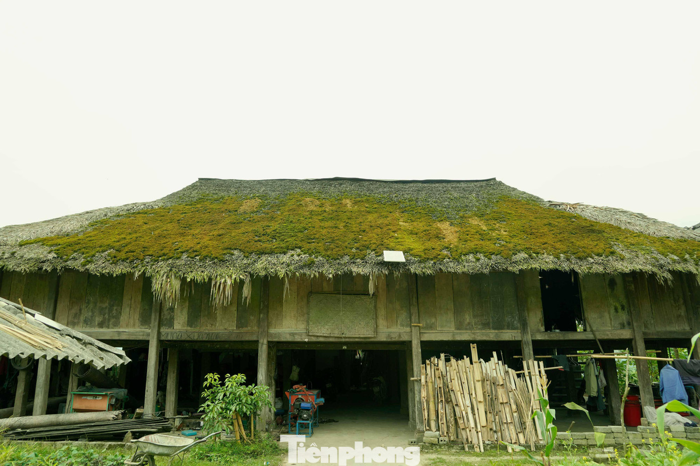 Không chỉ được ngắm nhìn cảnh quan hùng vỹ, đến với Xà Phìn, du khách còn được cùng bà con trải nghiệm hái chè, tham gia vào các công đoạn sản xuất ra thứ chè shan tuyết nức tiếng, được đắm mình trong dòng nước suối mát lạnh, được tự tay bắt cá trên ruộng bậc thang.