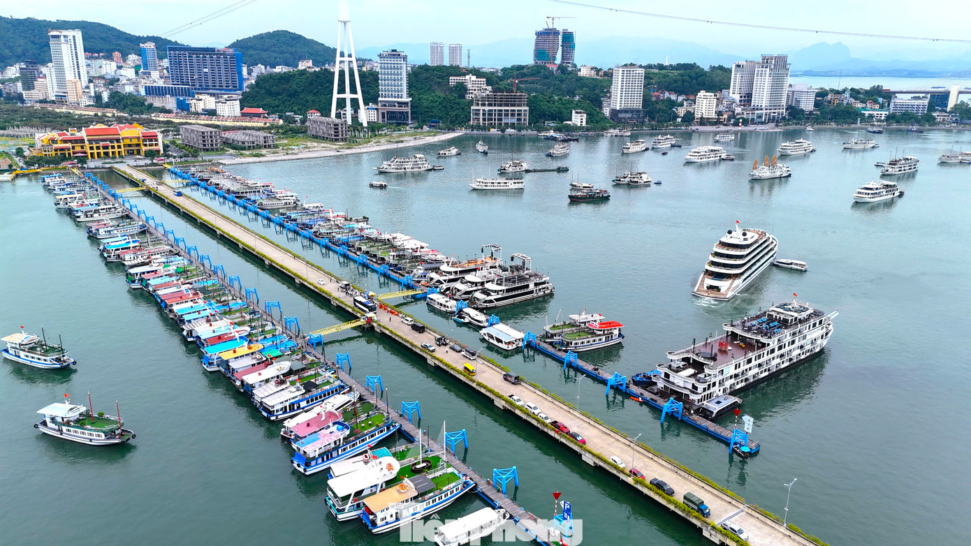 Hơn 200 tỷ phú châu Âu sẽ đi siêu du thuyền cá nhân đến vịnh Hạ Long.