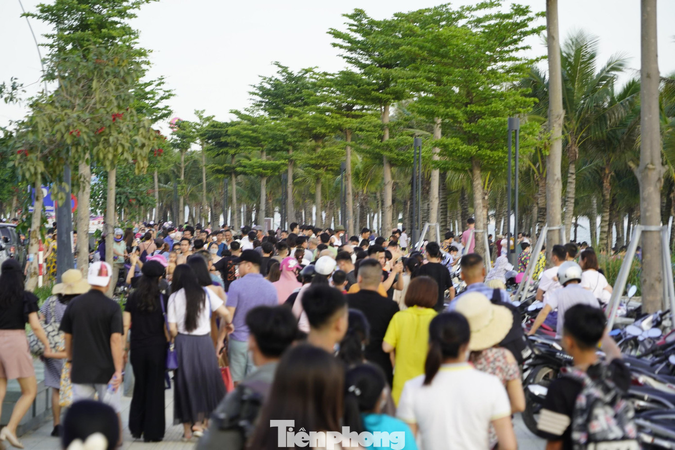 Dòng người đổ về khu vực này vì có bãi tắm rộng hàng chục ha.