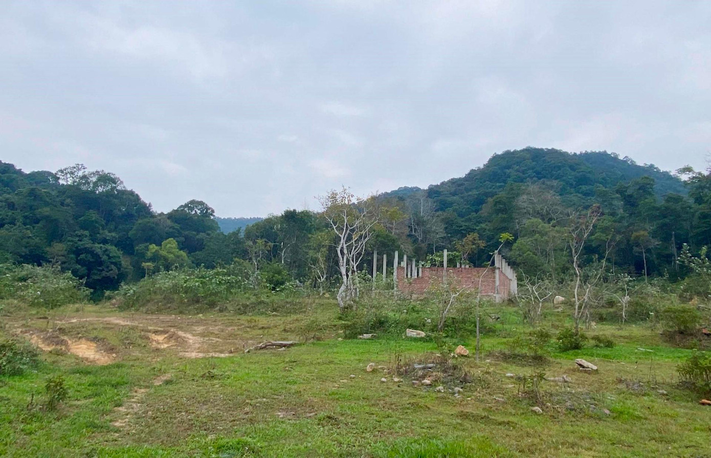 Ngày 11/7/2016, UBND tỉnh Quảng Ninh có quyết định thu hồi đất của Ban Quản lý di tích và rừng quốc gia Yên Tử, giao cho Công ty CP Việt Nam Tinh Hoa thuê đất theo phương thức trả tiền hàng năm để xây dựng Trường quay phim cổ trang Việt Nam.