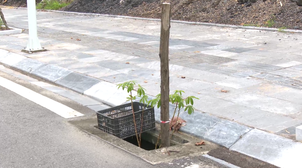 Hàng loạt nắp cống bị mất gây nguy hiểm cho người tham gia giao thông.