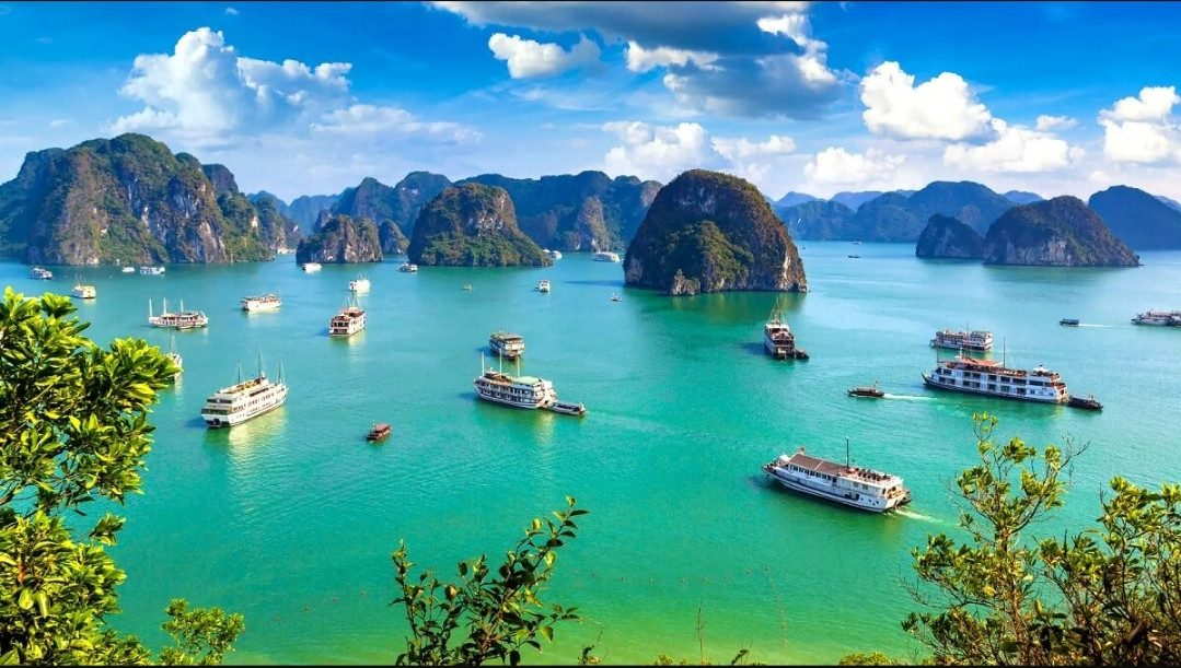 Đi thuyền trên vịnh Hạ Long, vịnh Lan Hạ lọt top 3 trải nghiệm thú vị nhất thế giới.