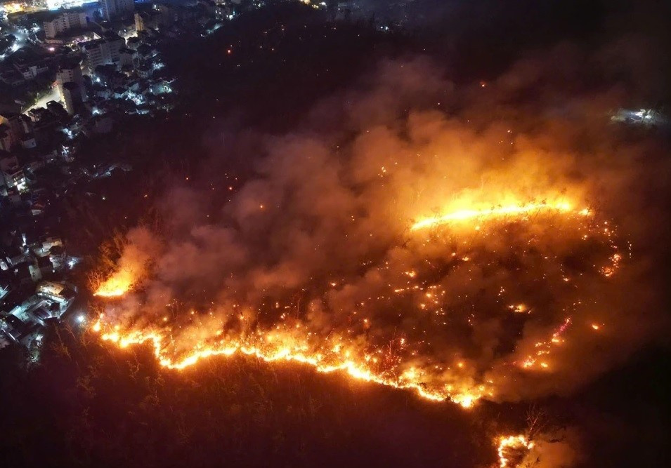 Thời tiết hanh khô cùng cây rừng gãy đổ sau bão nên các đám cháy rừng rất khó khống chế.