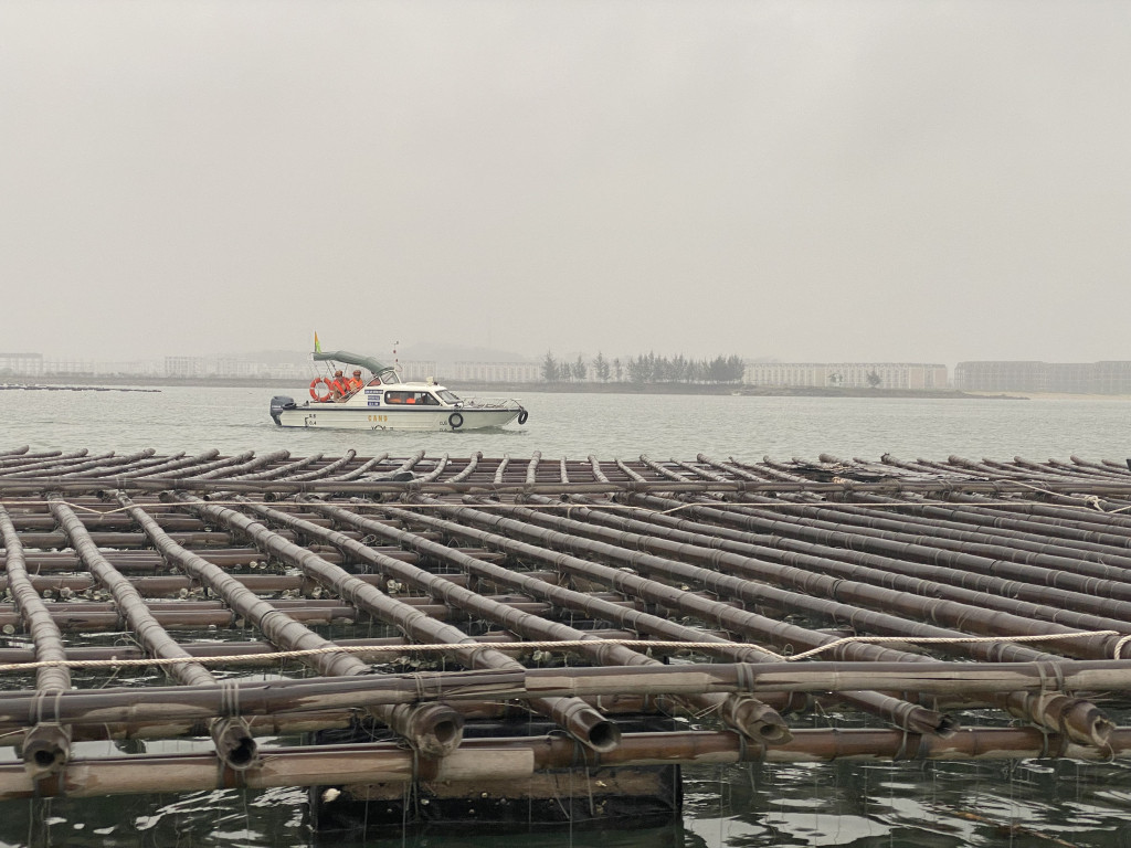 Gần 100 bè nuôi hàu trái phép bị cưỡng chế ở phía Tây Nam đảo Tuần Châu.