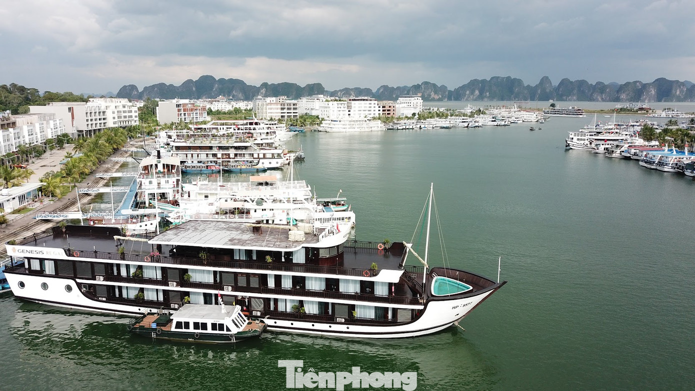 Tàu du lịch thăm vịnh Hạ Long về nơi tránh trú bão an toàn.