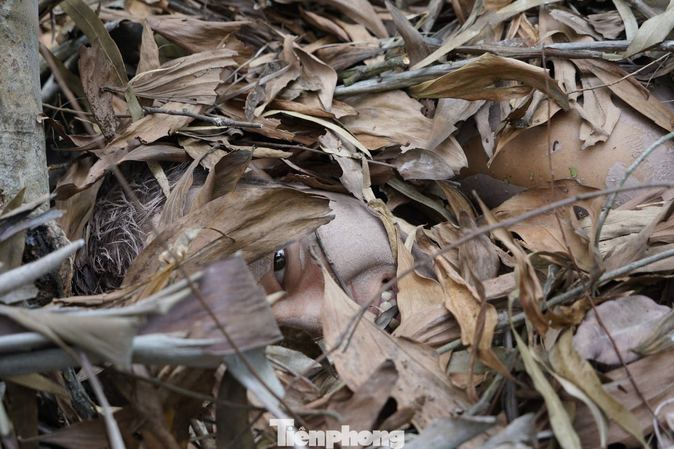 Theo thiếu tá Hoàng Đình Công, các chiến sỹ khi ngụy trang vào vị trí sẽ không được cử động. Kiến cắn cũng phải chịu, rắn rết bò qua cũng phải thản nhiên như không.