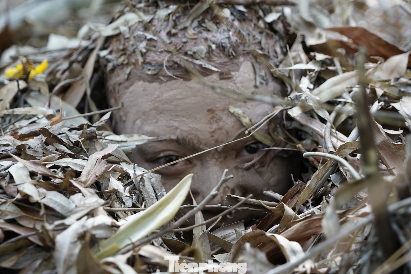 Ngụy trang làm sao khi đồng đội dẫm phải mình vẫn không phát hiện ra mới là ngụy trang thành công.