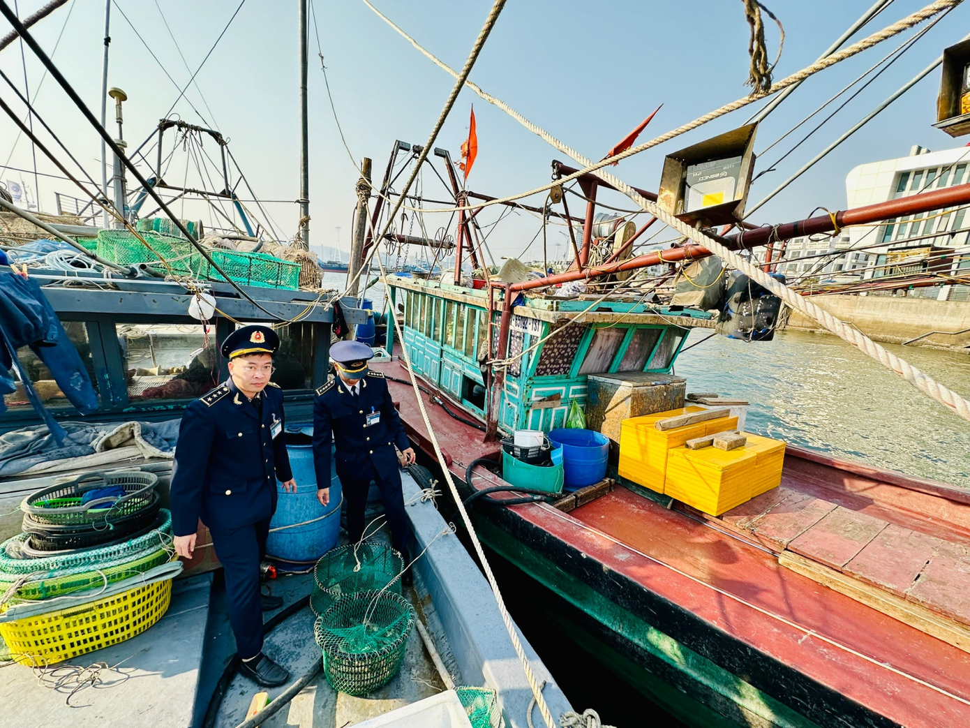 Cán bộ Đội Kiểm tra xử lý vi phạm trên vịnh Hạ Long (Ban Quản lý vịnh Hạ Long) kiểm tra các tàu vi phạm.