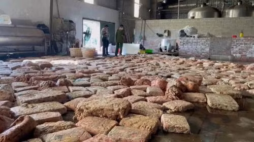 Lòng lợn đông lạnh bốc mùi chuẩn bị được "phù phép" làm tươi mới bằng hóa chất, phụ gia.