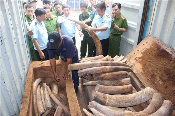 10 triệu USD cho phòng, chống buôn các loài hoang dã ảnh 1