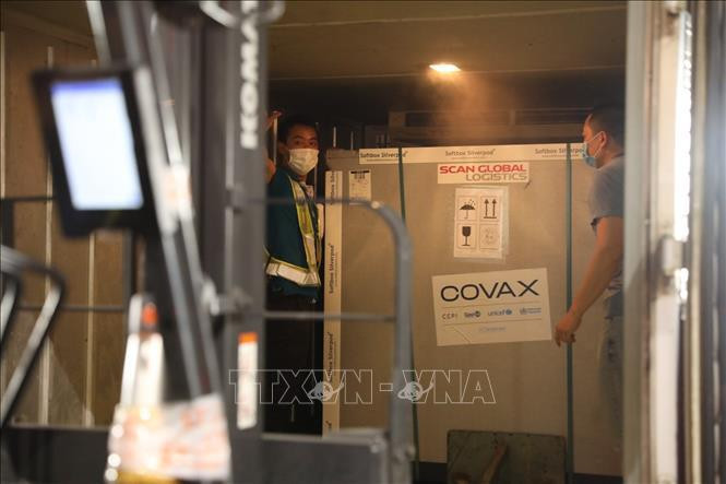 Vắc xin được chuyển về Viện Vệ sinh Dịch tễ Trung ương bảo quản. Ảnh: Minh Quyết/TTXVN