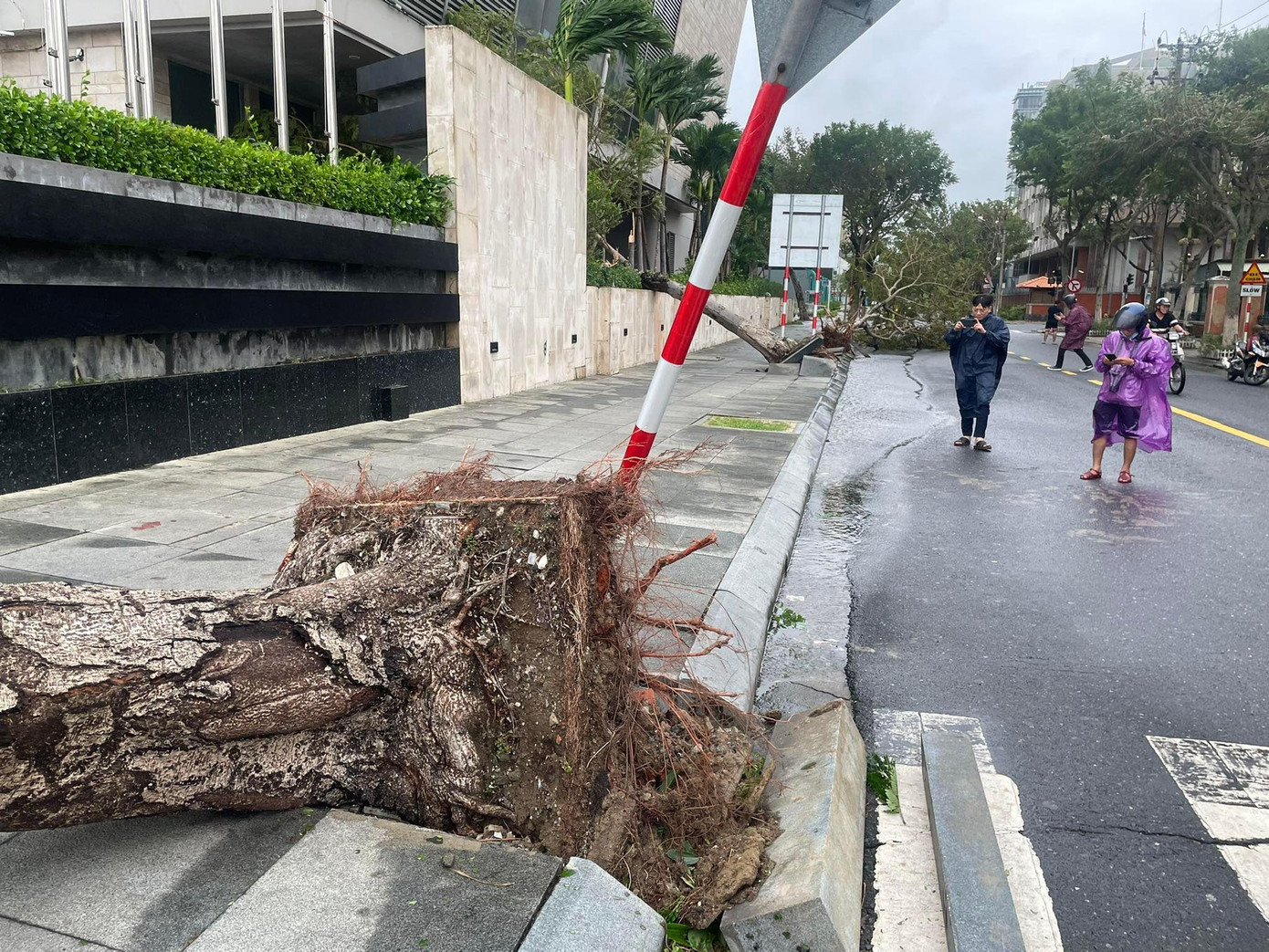 Thủ tướng Phạm Minh Chính: Không để người dân đói rét, không có chỗ ở sau bão lũ ảnh 9