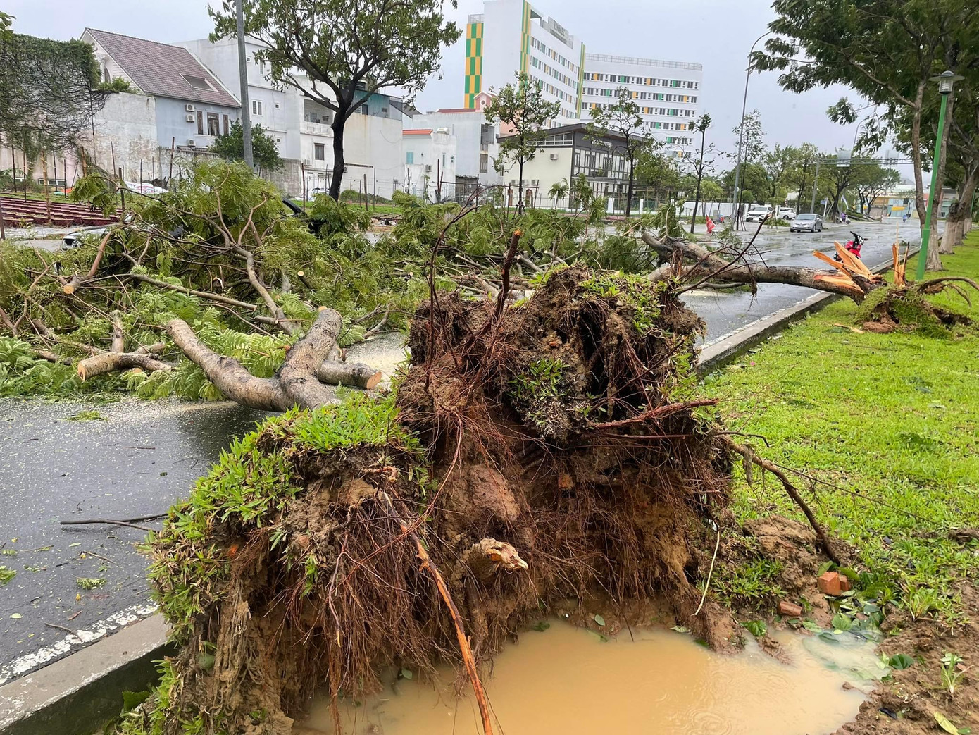 Thủ tướng Phạm Minh Chính: Không để người dân đói rét, không có chỗ ở sau bão lũ ảnh 30